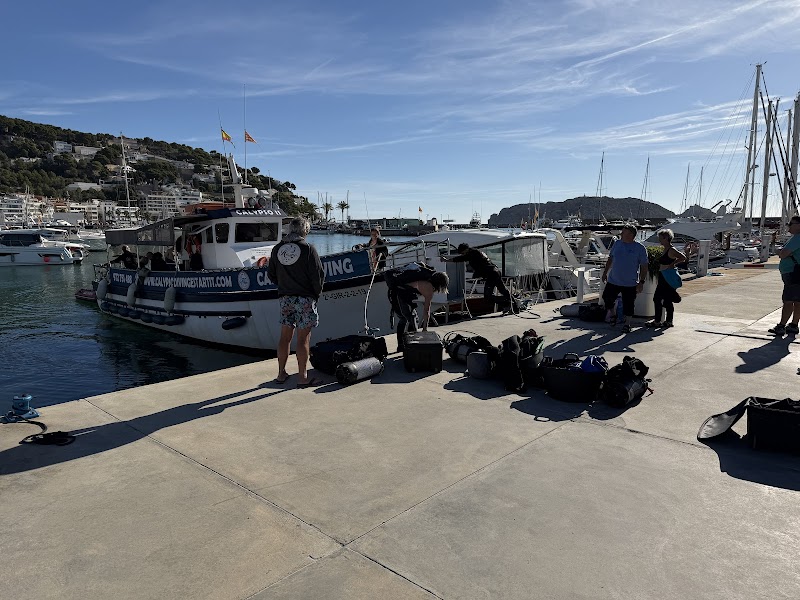 Calypso Segundo logo