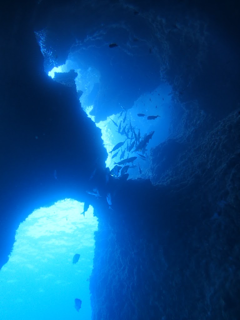 Oceansub-Estartit logo