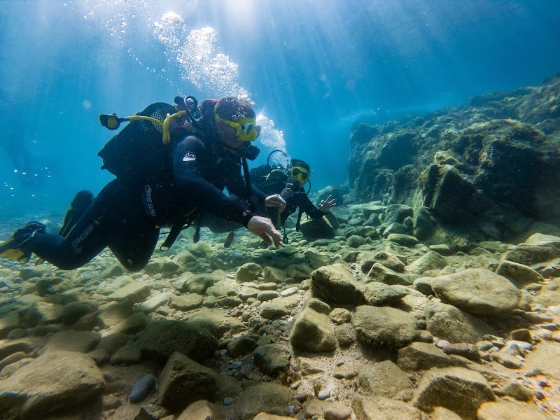 Diving & Combat Centro de Buceo Tossa de Mar logo