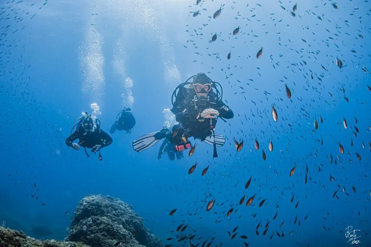 Diving Center La Sirena