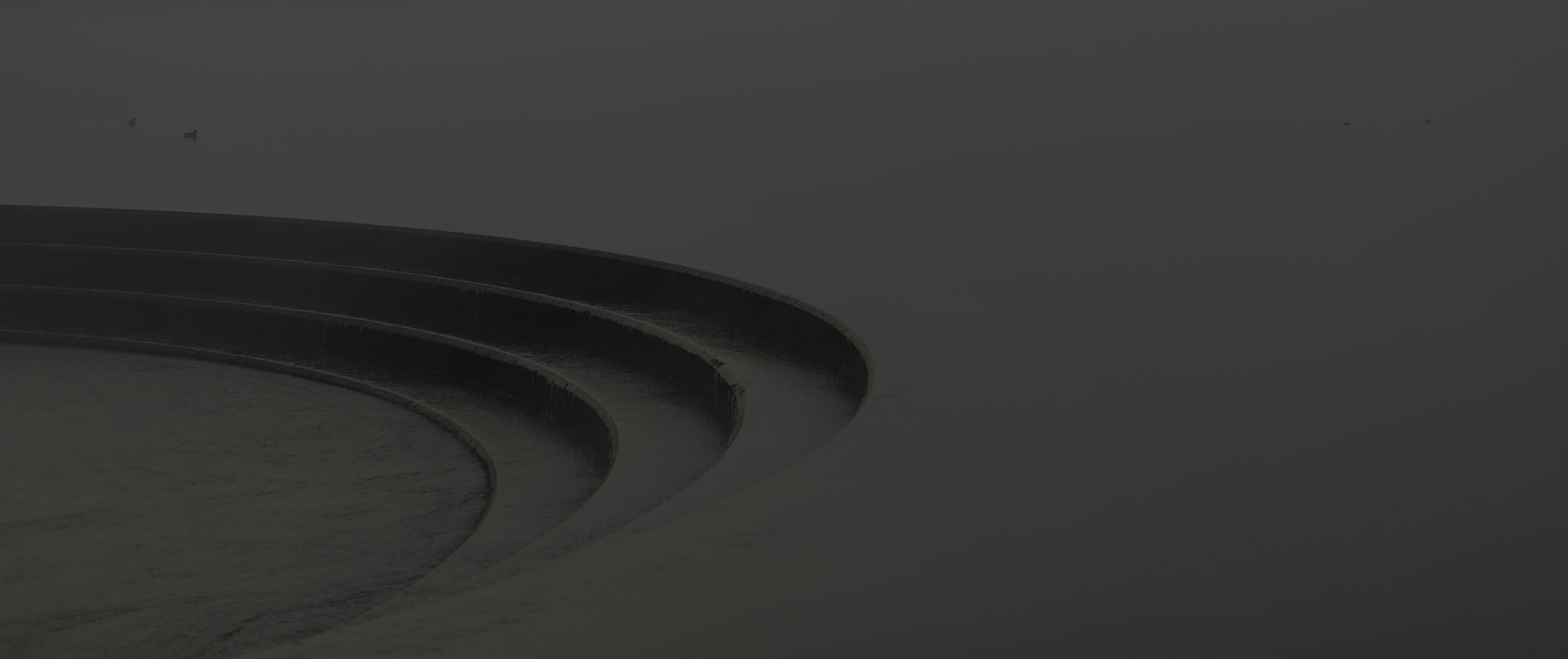 MacroiDive | Buceo Tossa