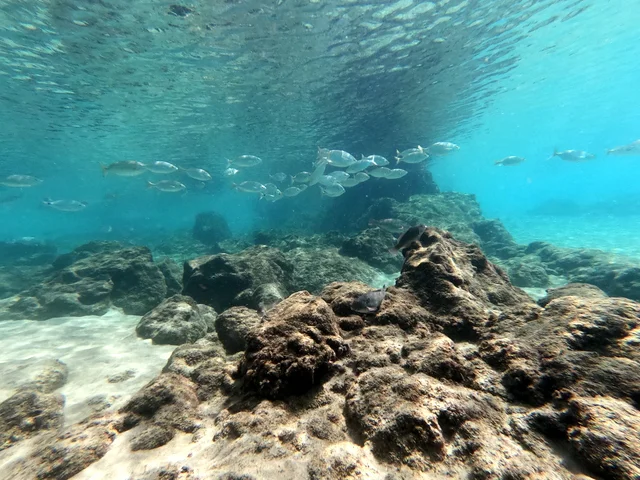 Mojo Dive - Tu centro de buceo en Lanzarote