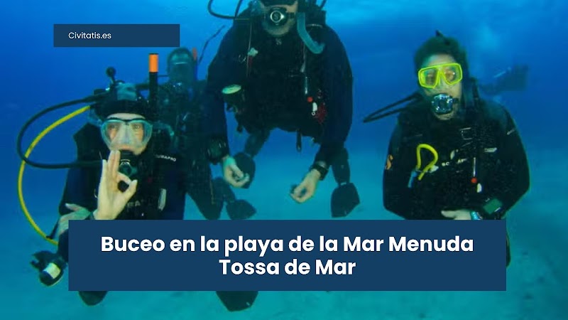 Buceo en la playa de la Mar Menuda Tossa de Mar