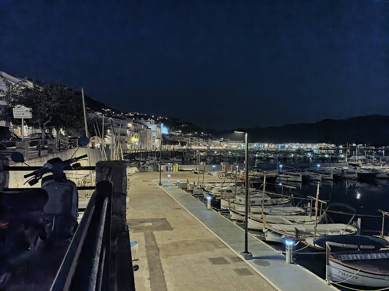 Dive Nautic Port de la Selva logo