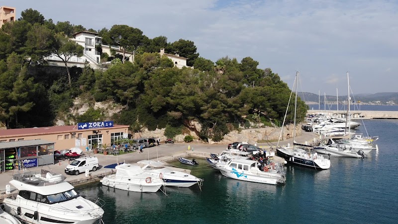 ZOEA Mallorca | Diving, Kayak & Paddleboard logo