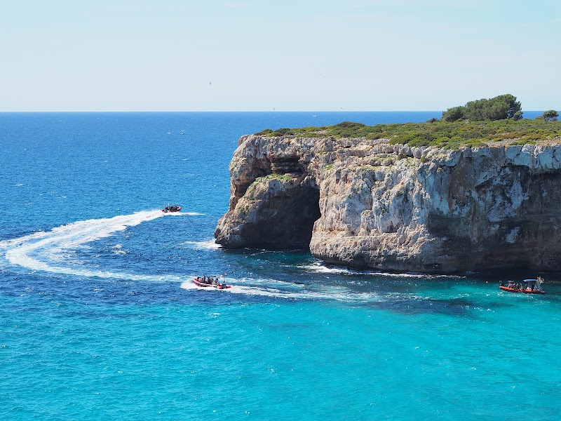 Skualo Porto Cristo | Diving Center & Adventure Sports in Mallorca logo