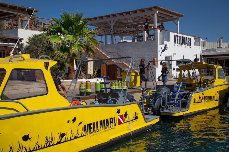 VELLMARI FORMENTERA logo