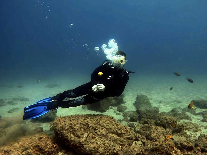 Calypso Dive Center logo