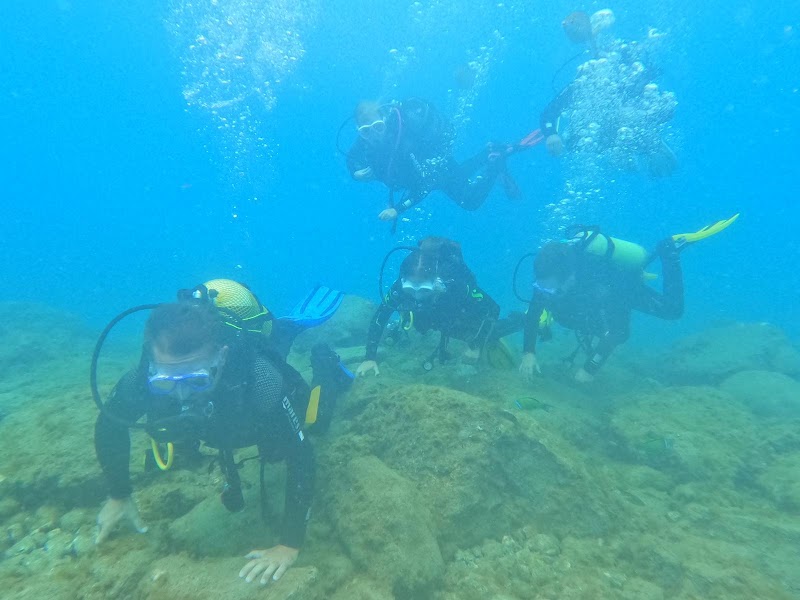 BIG FISH Dive Center Tenerife