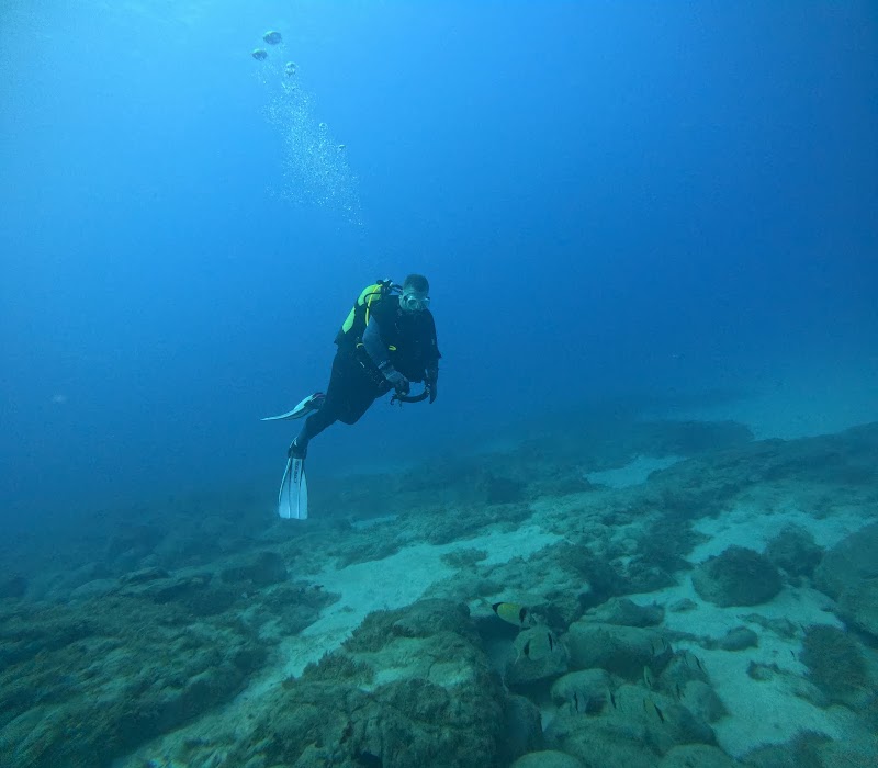 See You Diving Tenerife - PADI 5 Star