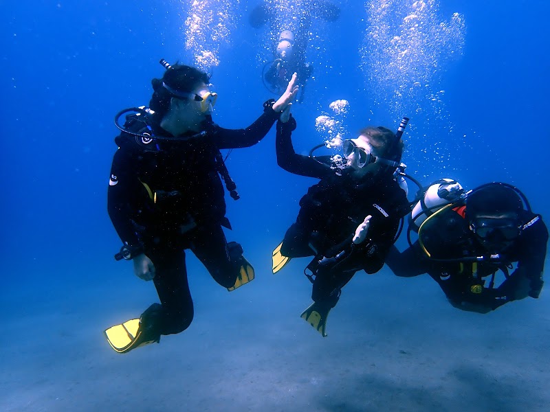 See You Diving Tenerife - PADI 5 Star logo