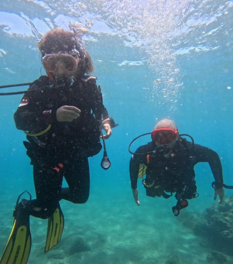 Barbarian Diving Tenerife S.L logo