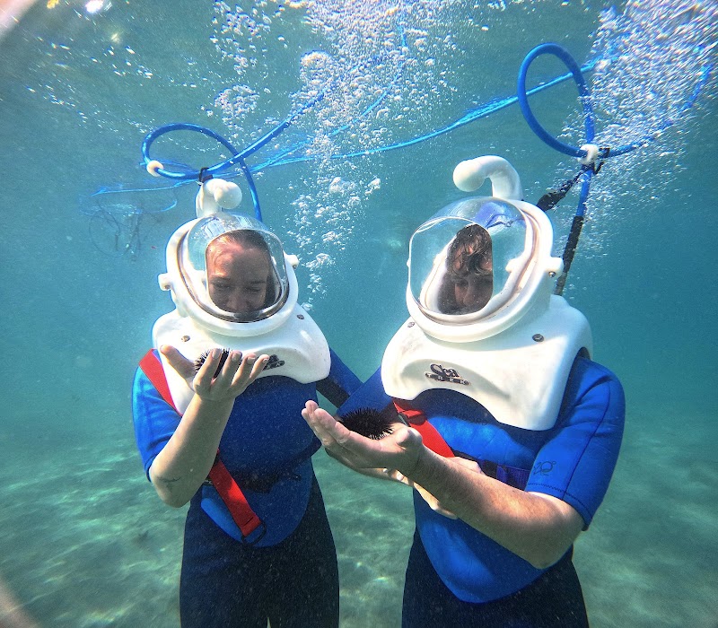 Diving on the Moon Tenerife - Sea Trek logo