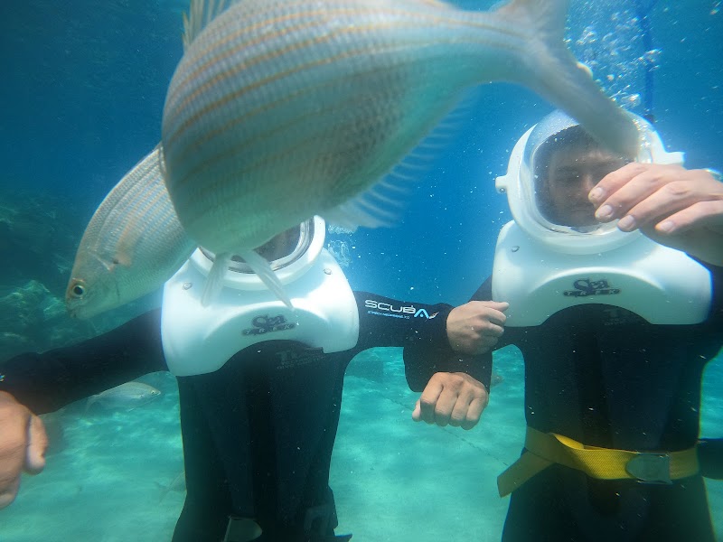 Diving on the Moon Tenerife - Sea Trek