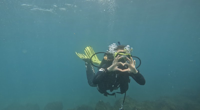 Ocean Dreams Tenerife - Dive Center