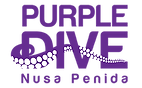 Purple Dive Penida logo