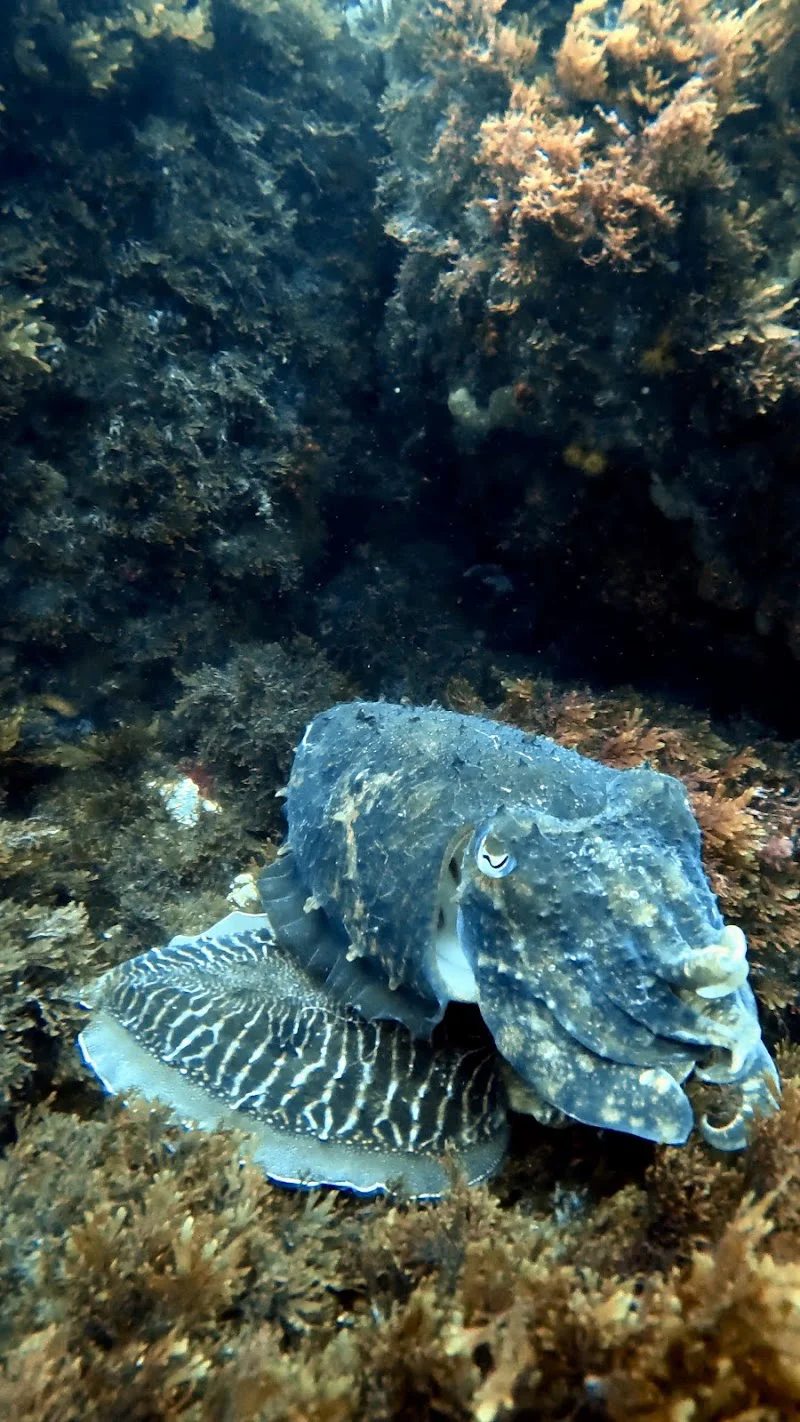 Foto 2