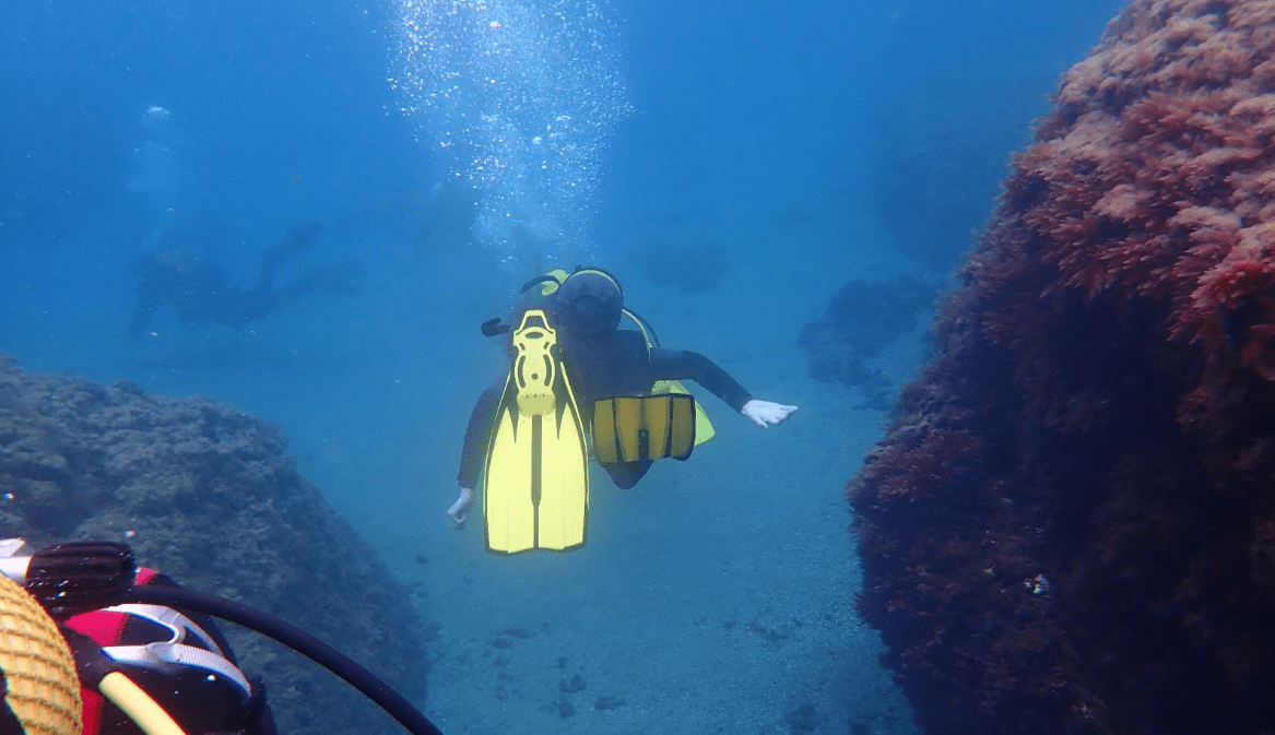 ViveBuceo - Escuela de buceo en La Herradura