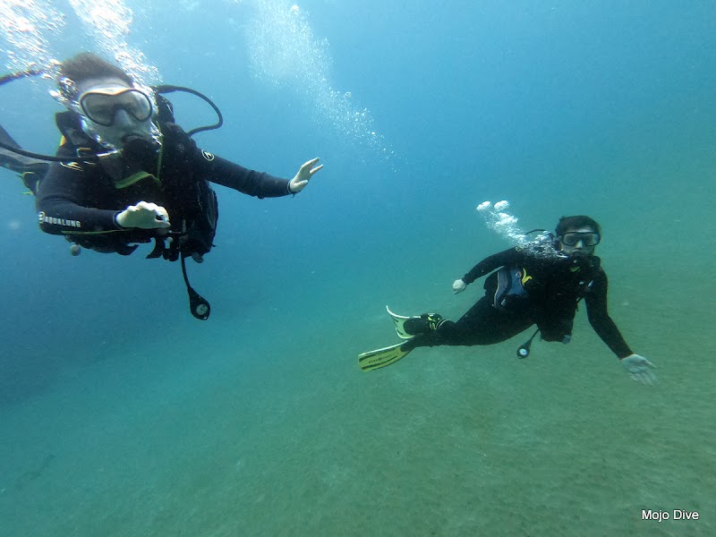 Mojo Dive - Tu centro de buceo en Lanzarote