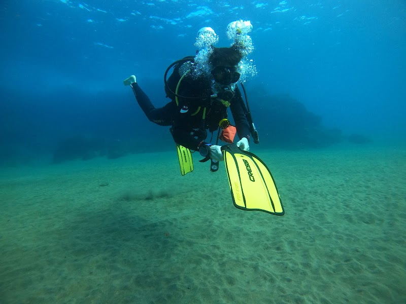 Safari Diving Lanzarote S.L. logo