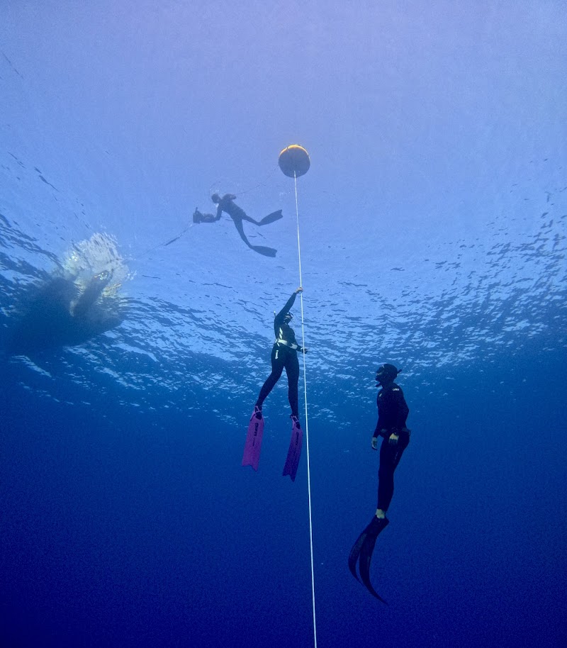 Apulmo Freediving - Centro de Apnea en Mallorca logo