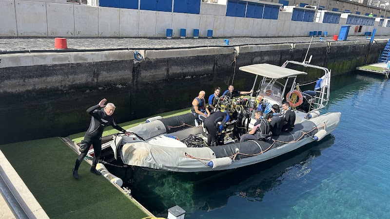 Deep Ocean Diver - PADI Dive Center logo