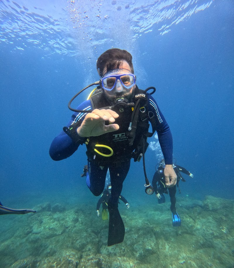 Scuba Point: Diving Tenerife logo