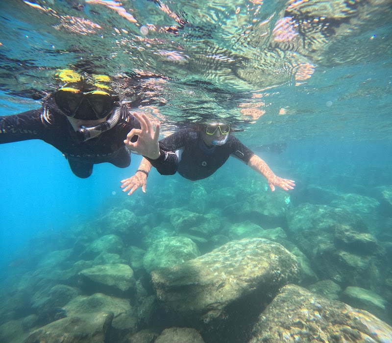 One Two Dive Tenerife