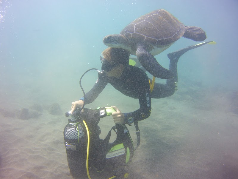 SSI Dive Club Adeje Tenerife 5* Center
