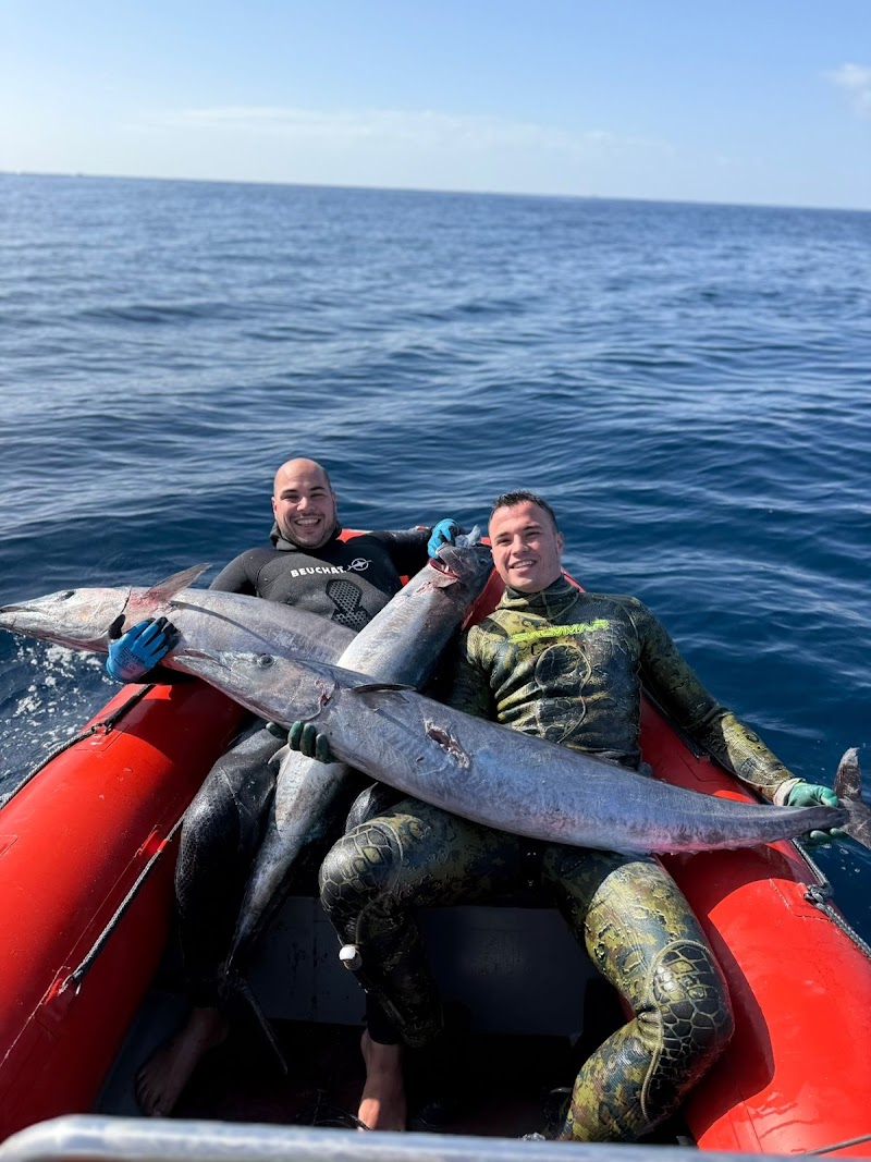 Stator Tenerife - Freediving & Spearfishing logo