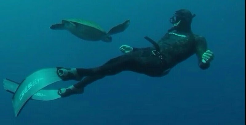 Stator Tenerife - Freediving & Spearfishing