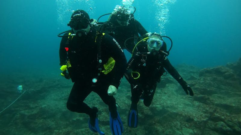 Scuba Diving Tenerife - Puerto Colón logo