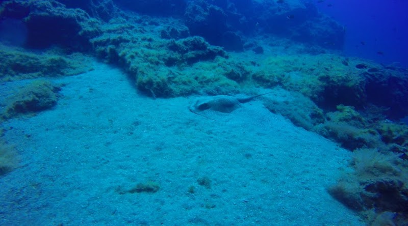 CID Lanzarote - Canary Island Divers