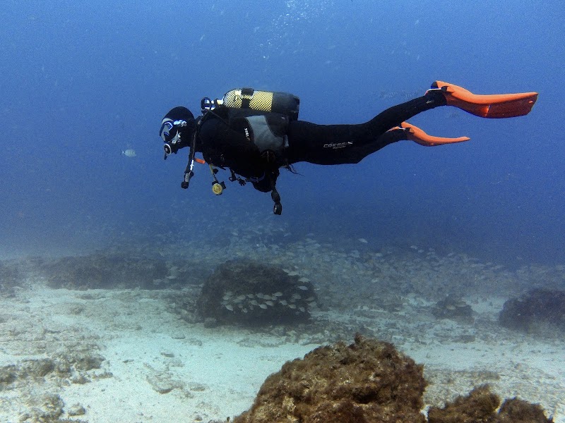 Alisios Sub Lanzarote logo