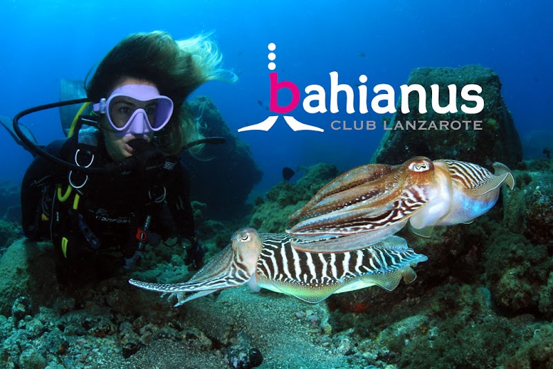 Bahianus Club Tauchen auf Lanzarote logo