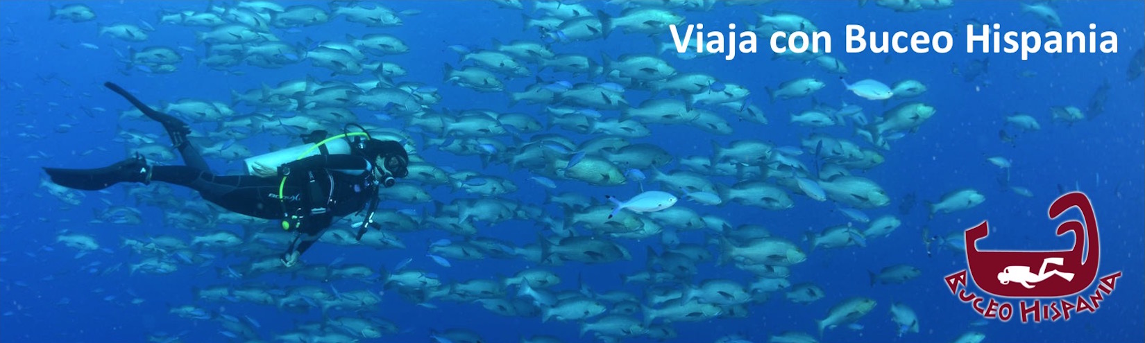 BUCEO HISPANIA