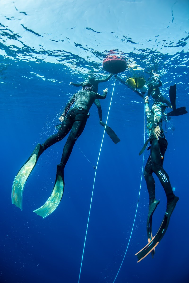 Ocean Freediving Lanzarote - Freediving School & Apnea Center