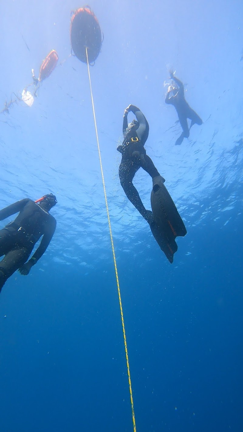 Beneath the waves Freediving logo