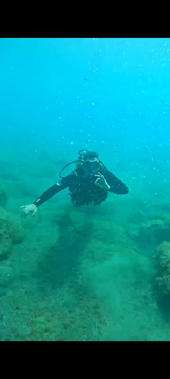 Centro de Buceo El Bajón logo