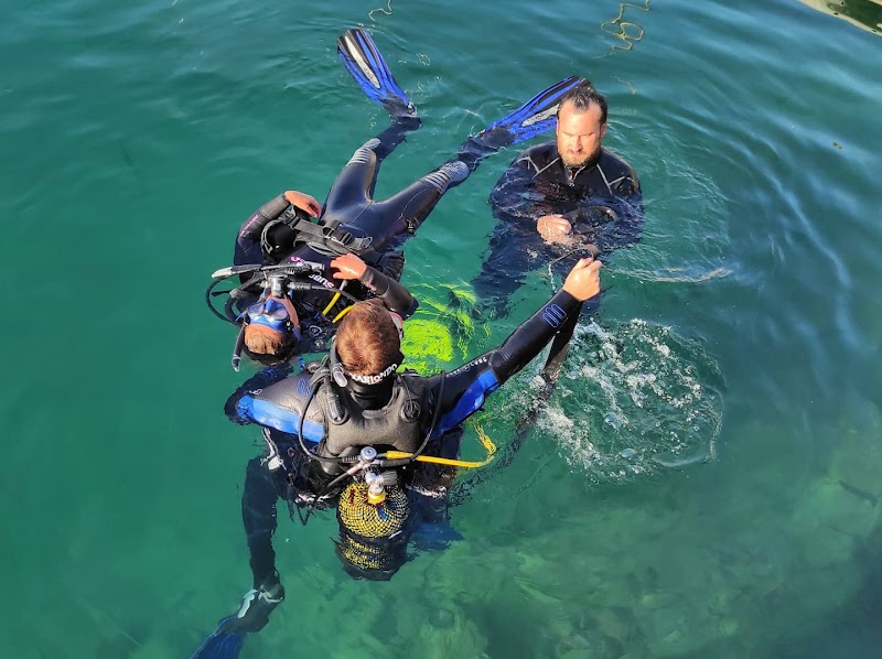 DIVE&DIVE Centre de Busseig logo