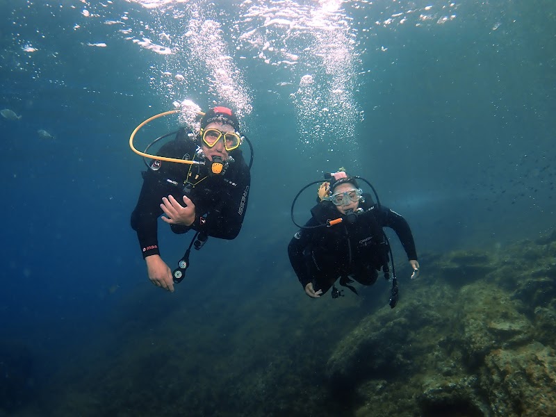 Buceo Nisos Benidorm logo