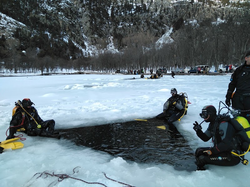 Club de Buceo Mediterraneo Valencia logo