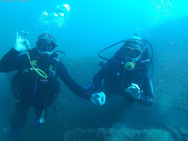 Club de Buceo Mediterraneo Valencia