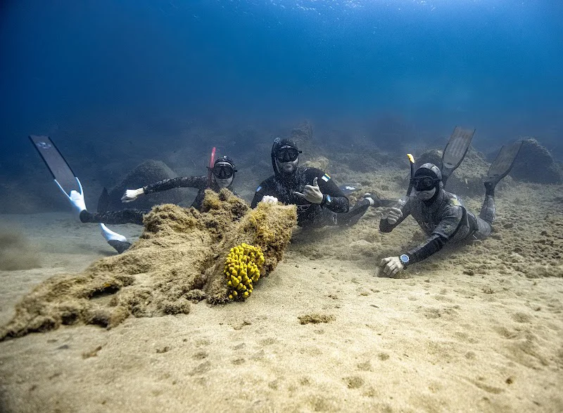 Beneath the waves Freediving