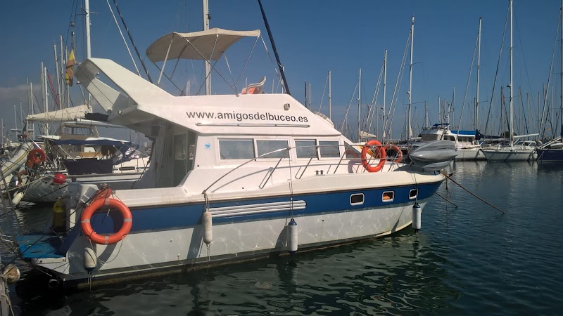 C.A.S. Friends of diving logo