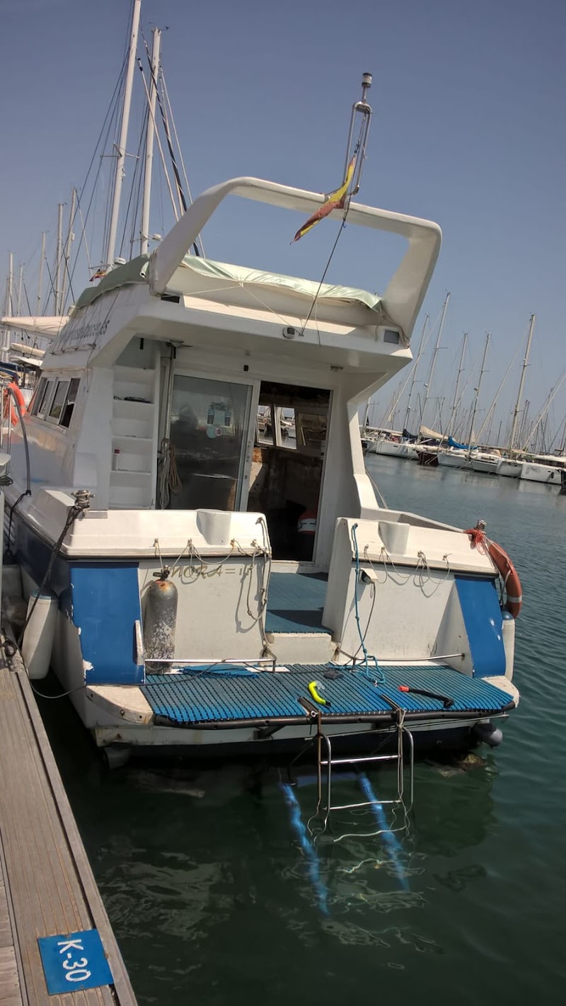 C.A.S. Friends of diving