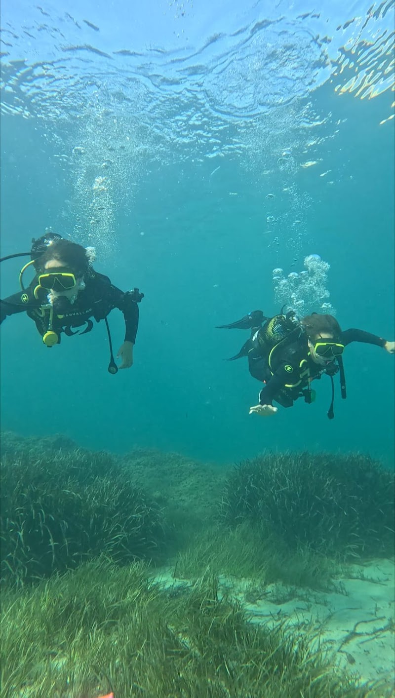 Blue Soul Diving Valencia