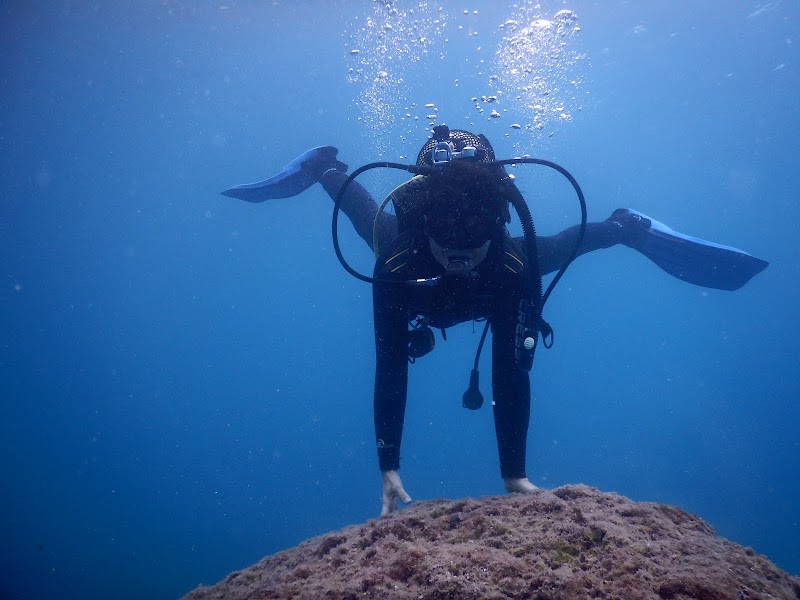 El Camión de Buceo logo