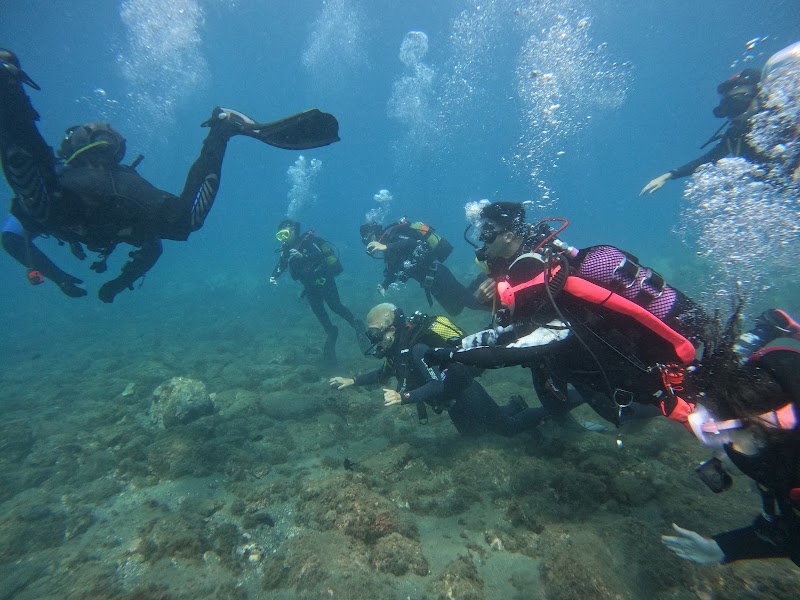 Natura Dive Center Dive logo