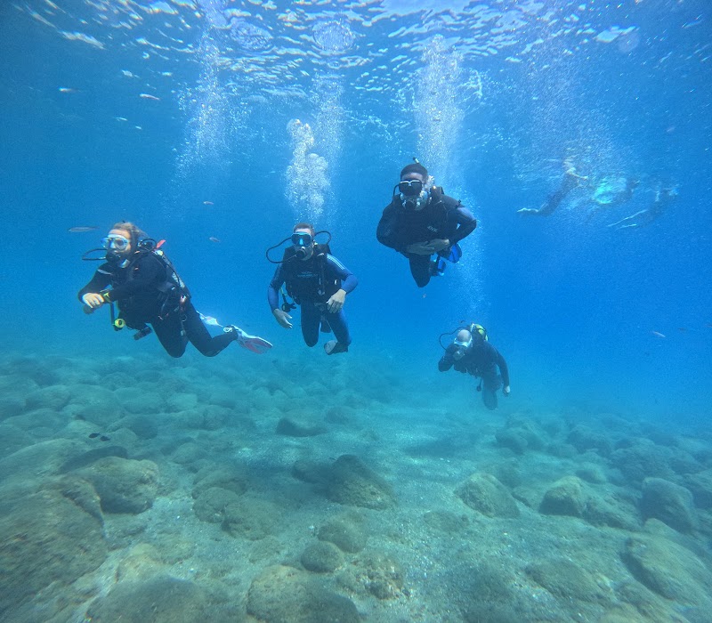 Eco&Dive Escuela de buceo en Málaga logo